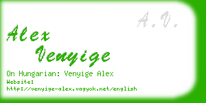 alex venyige business card